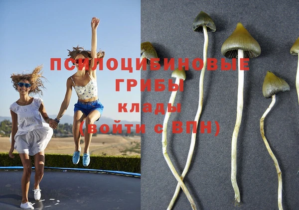 мяу мяу мука Алзамай